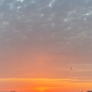 Meet your Posher, Arwa